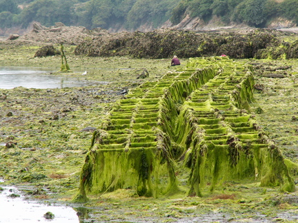 20060810 135657